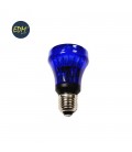 B. Flash Blava