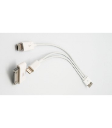USB a Lightning+microUSB+ iPhone/sam 30)