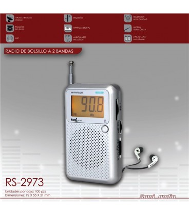 Radio Ver.Digital Sami RS2973