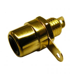 RCA HEMBRA CHASIS DORADO, NEGRO