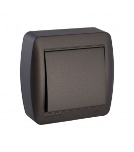 INTERRUPTOR BIPOLAR 10AX 250V