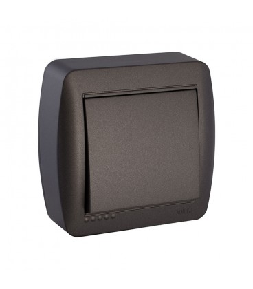 INTERRUPTOR BIPOLAR 10AX 250V