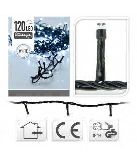 Garl . 120B L. Freda