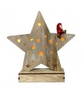 Estrella de Navidad con luz.