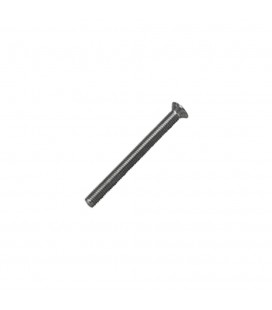 CONJUNTO DOS TORNILLOS DE VALVULA FREG