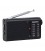 RADIO PORTATIL CON ALTAVOZ NG