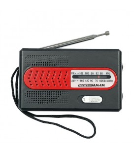 RADIO AM/FM CON PILAS 2AA PEQUEÑA