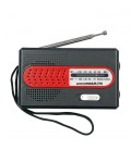 RADIO AM/FM CON PILAS 2AA PEQUEÑA