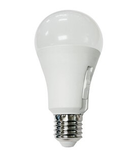 Bombilla LED A65 13W E27 5CCT