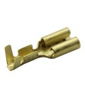 Terminal hembra 6,3mm